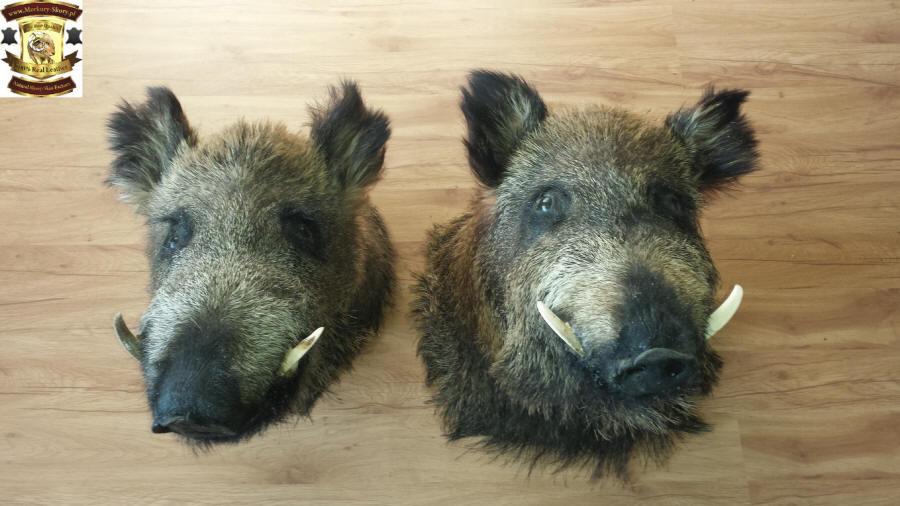 conceria pelle di pecora naturale tappeto fabbricante all'ingrosso Polonia 07