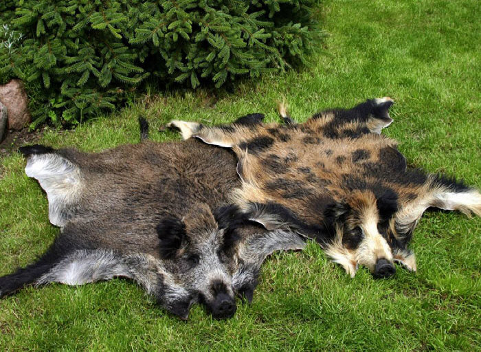 conceria pelle di pecora naturale tappeto fabbricante all'ingrosso Polonia